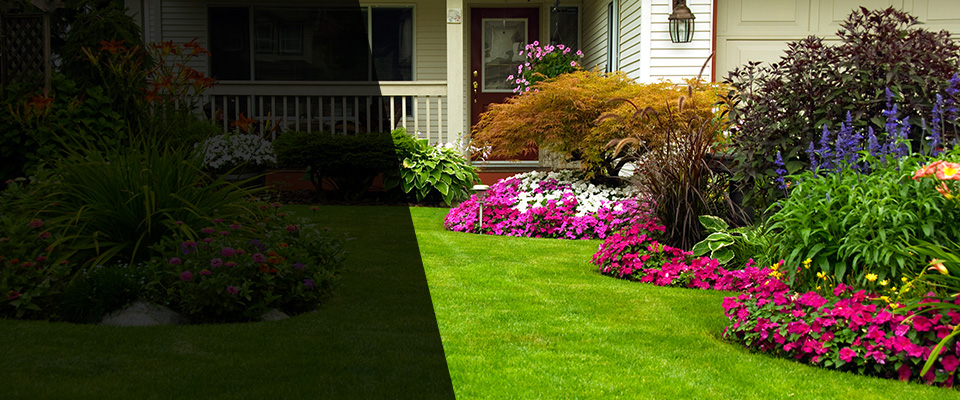 Peru Landscapers