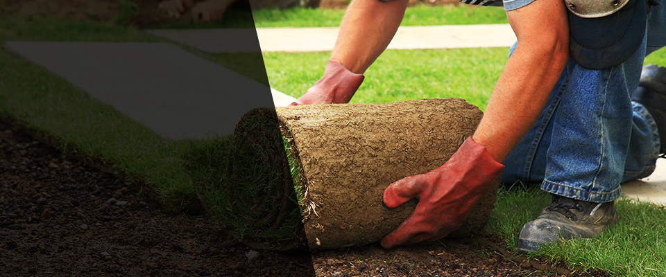 Peru Landscapers