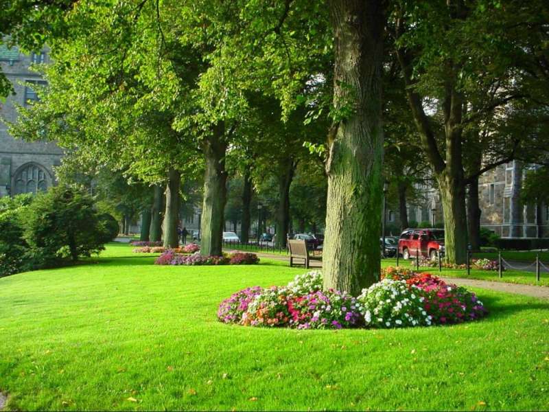 Stairs